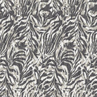WLD53135W Zebra Sable Sable Wallpaper by Ohpopsi