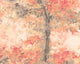 Dapple Geranium Seasons Murals Mural by Ohpopsi