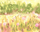 Meadow Raspberry & Citrine Seasons Murals Mural by Ohpopsi