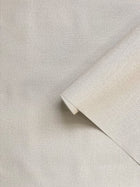 Fine Texture Pale Taupe Wall Textures Wallpaper by Galerie — roomshot 2