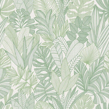 WTK20204 Tropicana Leaves The Keys Sage Wallpaper by Today Interiors