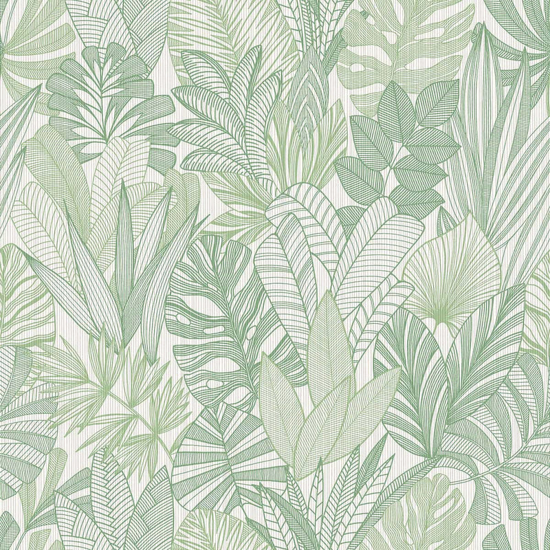 WTK20204 Tropicana Leaves The Keys Sage Wallpaper by Today Interiors