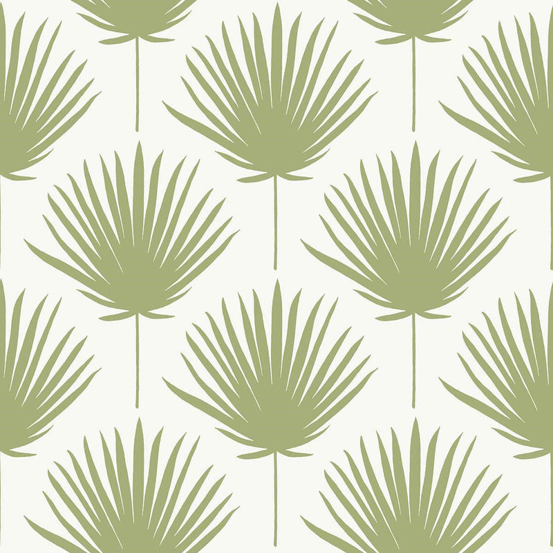 WTK21204 Vibrant Palm The Keys Sage Wallpaper by Today Interiors
