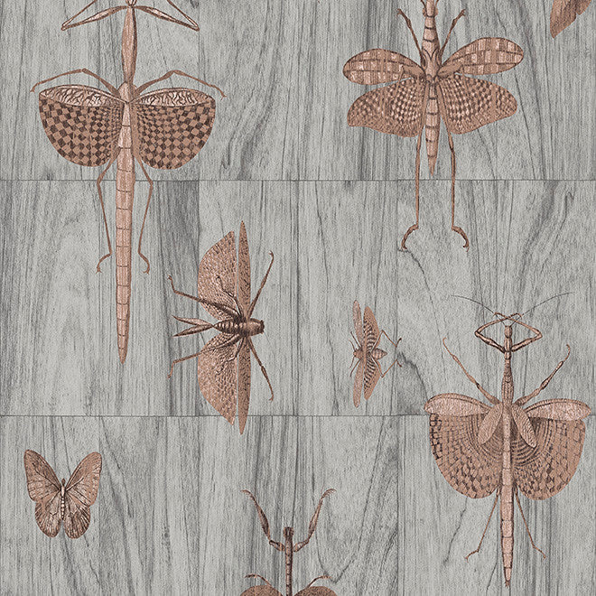 42000 Wings Ligna Wallpaper by Arte