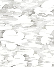 YSP0260 Ngai Blanco Maasai Wallpaper by Coordonné - flat