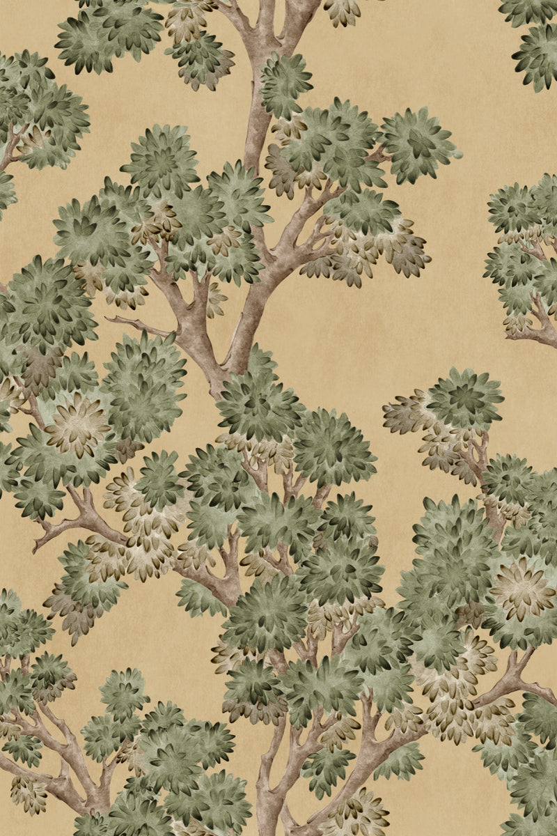 YSP0503 Field Maple Sunny Cotswolds Wallpaper by Coordonné - flat