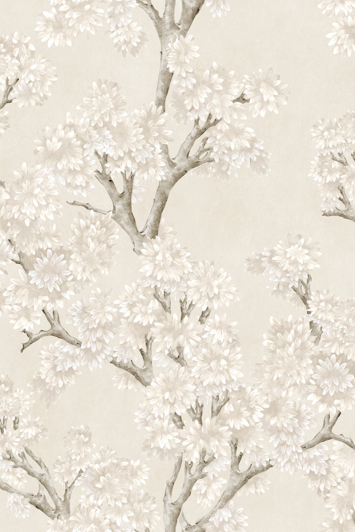 YSP0504 Field Maple Bone Cotswolds Wallpaper by Coordonné - flat