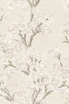 YSP0504 Field Maple Bone Cotswolds Wallpaper by Coordonné - flat