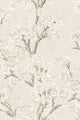 Field Maple Bone Cotswolds Wallpaper by Coordonné