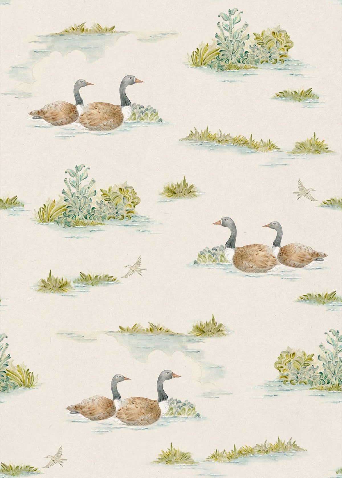 YSP0534 Mallard Duck Mint Cotswolds Wallpaper by Coordonné - flat