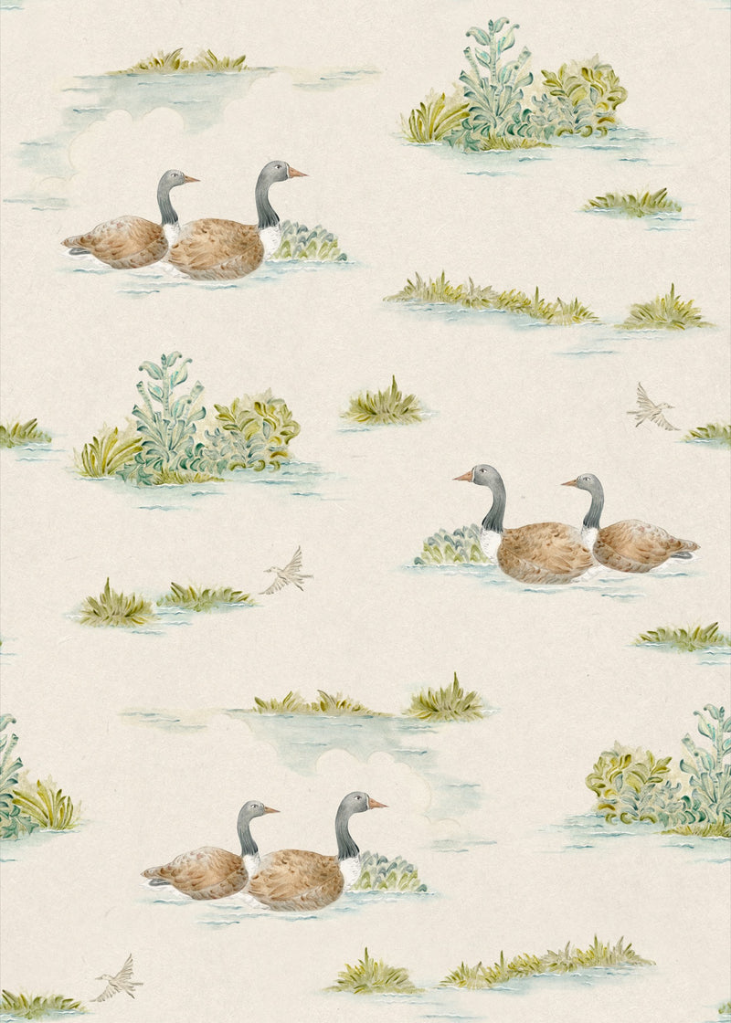 YSP0534 Mallard Duck Mint Cotswolds Wallpaper by Coordonné - flat