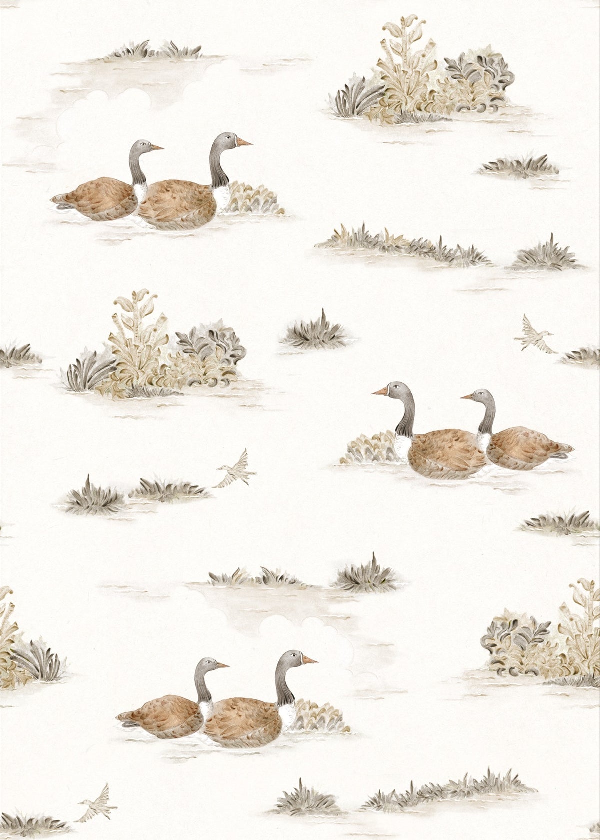 YSP0535 Mallard Duck Sunny Cotswolds Wallpaper by Coordonné - flat
