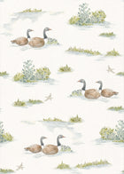 YSP0536 Mallard Duck Sage Cotswolds Wallpaper by Coordonné - flat