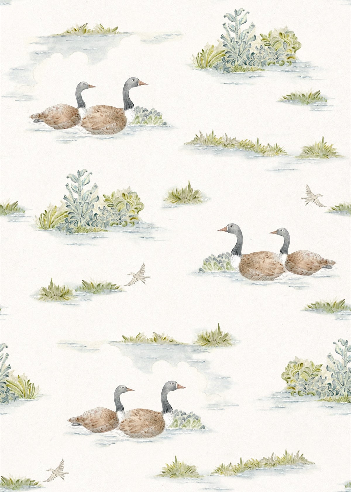 YSP0536 Mallard Duck Sage Cotswolds Wallpaper by Coordonné - flat
