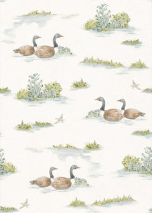 YSP0536 Mallard Duck Sage Cotswolds Wallpaper by Coordonné - flat