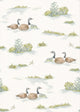 Mallard Duck Sage Cotswolds Wallpaper by Coordonné