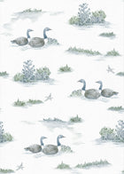 YSP0537 Mallard Duck Aqua Cotswolds Wallpaper by Coordonné - flat