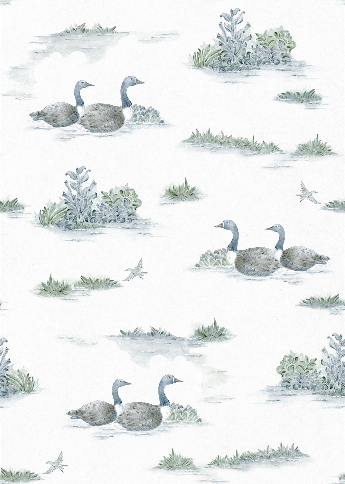 YSP0537 Mallard Duck Aqua Cotswolds Wallpaper by Coordonné - flat
