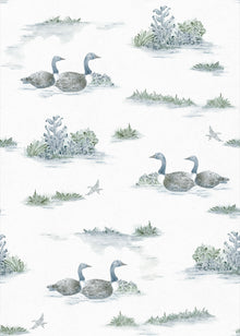 YSP0537 Mallard Duck Aqua Cotswolds Wallpaper by Coordonné - flat