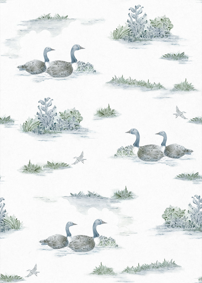 YSP0537 Mallard Duck Aqua Cotswolds Wallpaper by Coordonné - flat