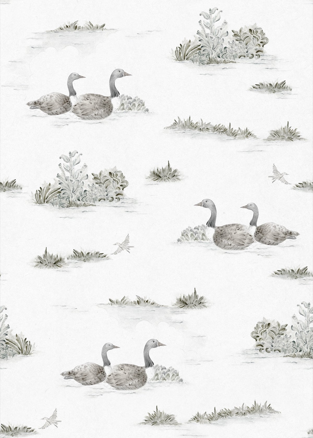 YSP0538 Mallard Duck Silver Cotswolds Wallpaper by Coordonné - flat