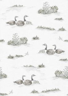 YSP0538 Mallard Duck Silver Cotswolds Wallpaper by Coordonné - flat