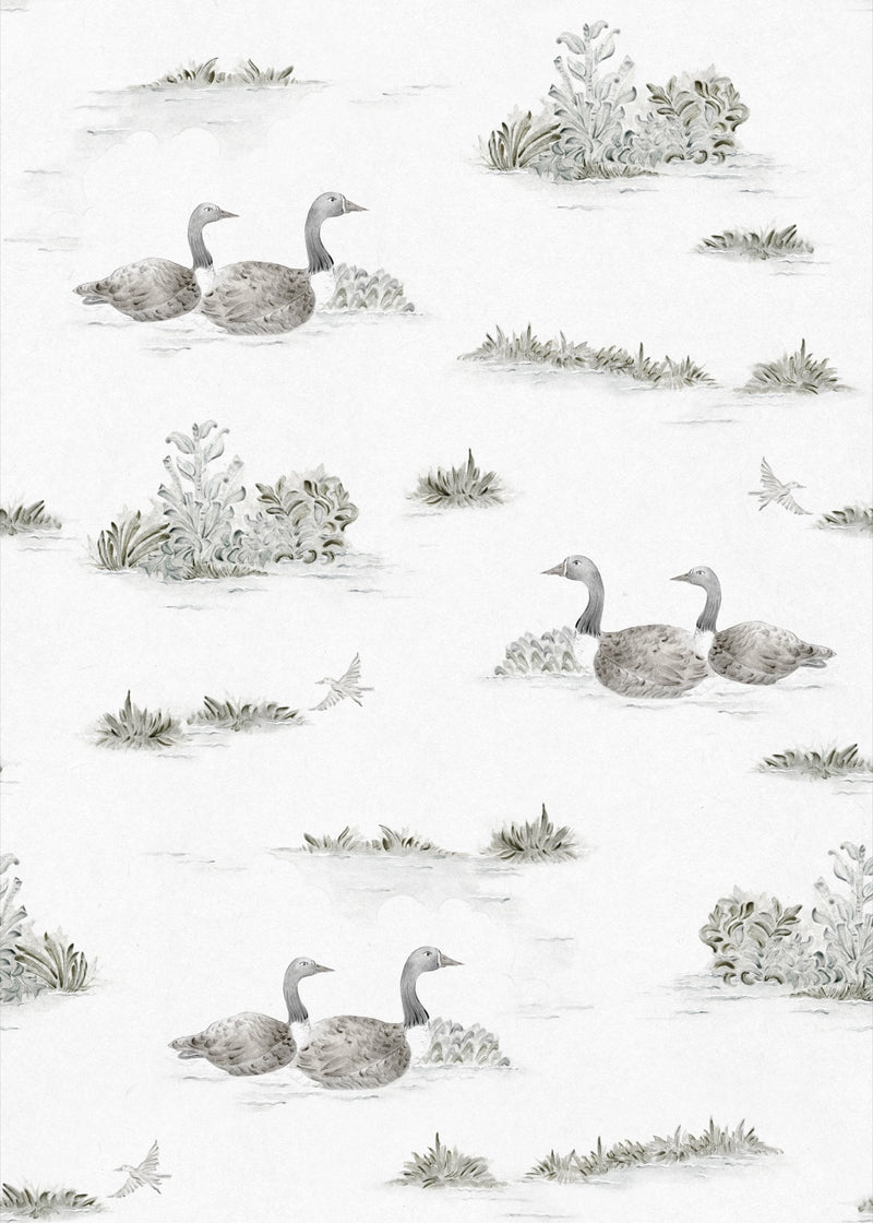YSP0538 Mallard Duck Silver Cotswolds Wallpaper by Coordonné - flat