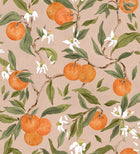 YSP0606 Naranjos Rosado Sevilla Wallpaper by Coordonné - flat