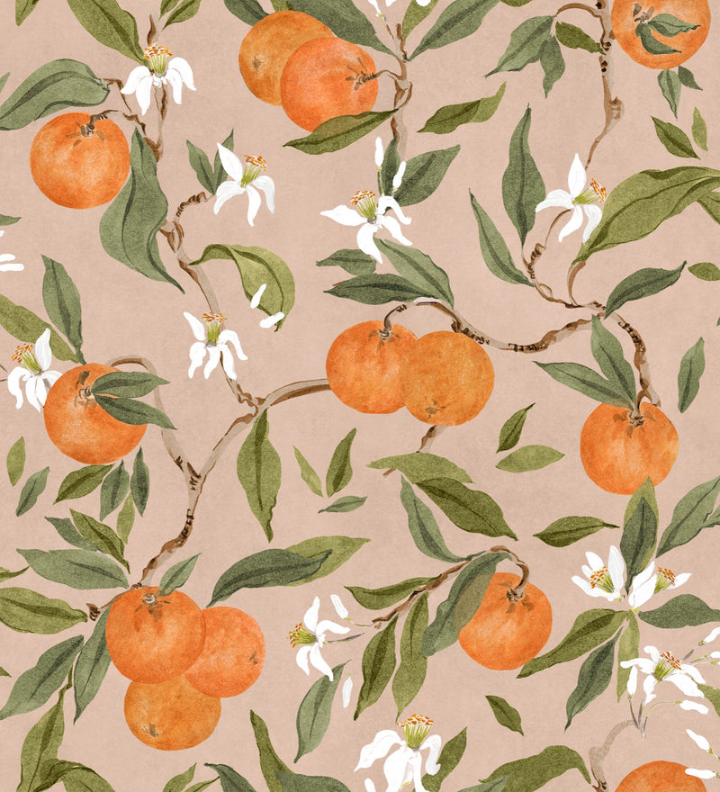 YSP0606 Naranjos Rosado Sevilla Wallpaper by Coordonné - flat
