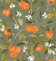 Naranjos Celadon Sevilla Wallpaper by Coordonné