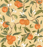 YSP0610 Naranjos Ocre Sevilla Wallpaper by Coordonné - flat