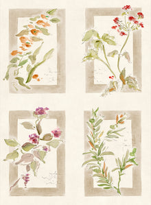 YSP0629 Sta Cruz Piedra Sevilla Wallpaper by Coordonné - flat