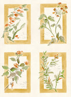 YSP0630 Sta Cruz Ocre Sevilla Wallpaper by Coordonné - flat