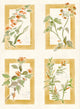 Sta Cruz Ocre Sevilla Wallpaper by Coordonné