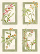 Sta Cruz Celadon Sevilla Wallpaper by Coordonné
