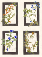 YSP0634 Sta Cruz Pizarra Sevilla Wallpaper by Coordonné - flat