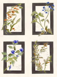 YSP0634 Sta Cruz Pizarra Sevilla Wallpaper by Coordonné - flat