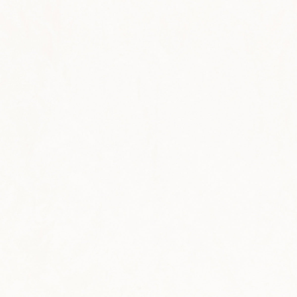 Enzo Wide Width Ivory Enzo Fabric by Zinc Textile