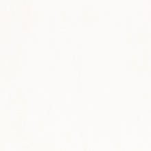 Enzo Wide Width Ivory Enzo Fabric by Zinc Textile
