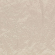 Enzo Wide Width Spacedust Enzo Fabric by Zinc Textile