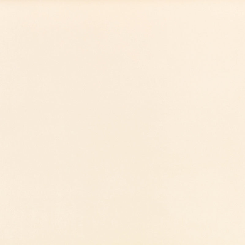 Z Suede Bone Z Suede Fabric by Zinc Textile