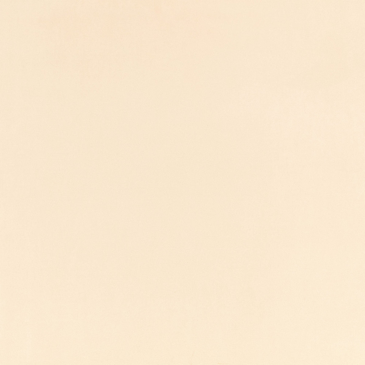 Z Suede Shingle Z Suede Fabric by Zinc Textile