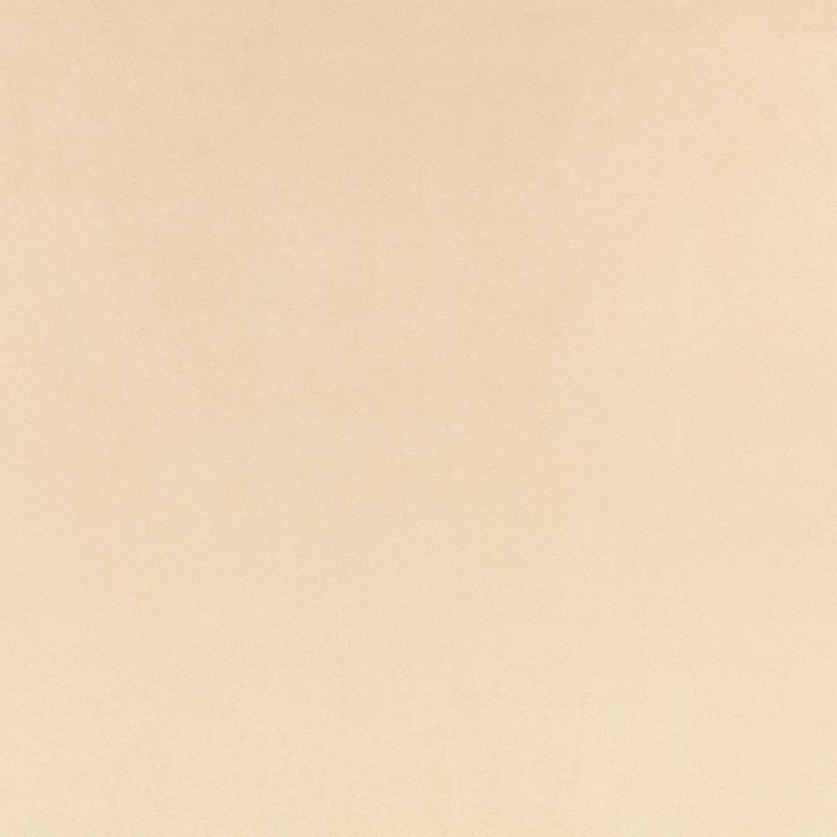 Z Suede Gazelle Z Suede Fabric by Zinc Textile