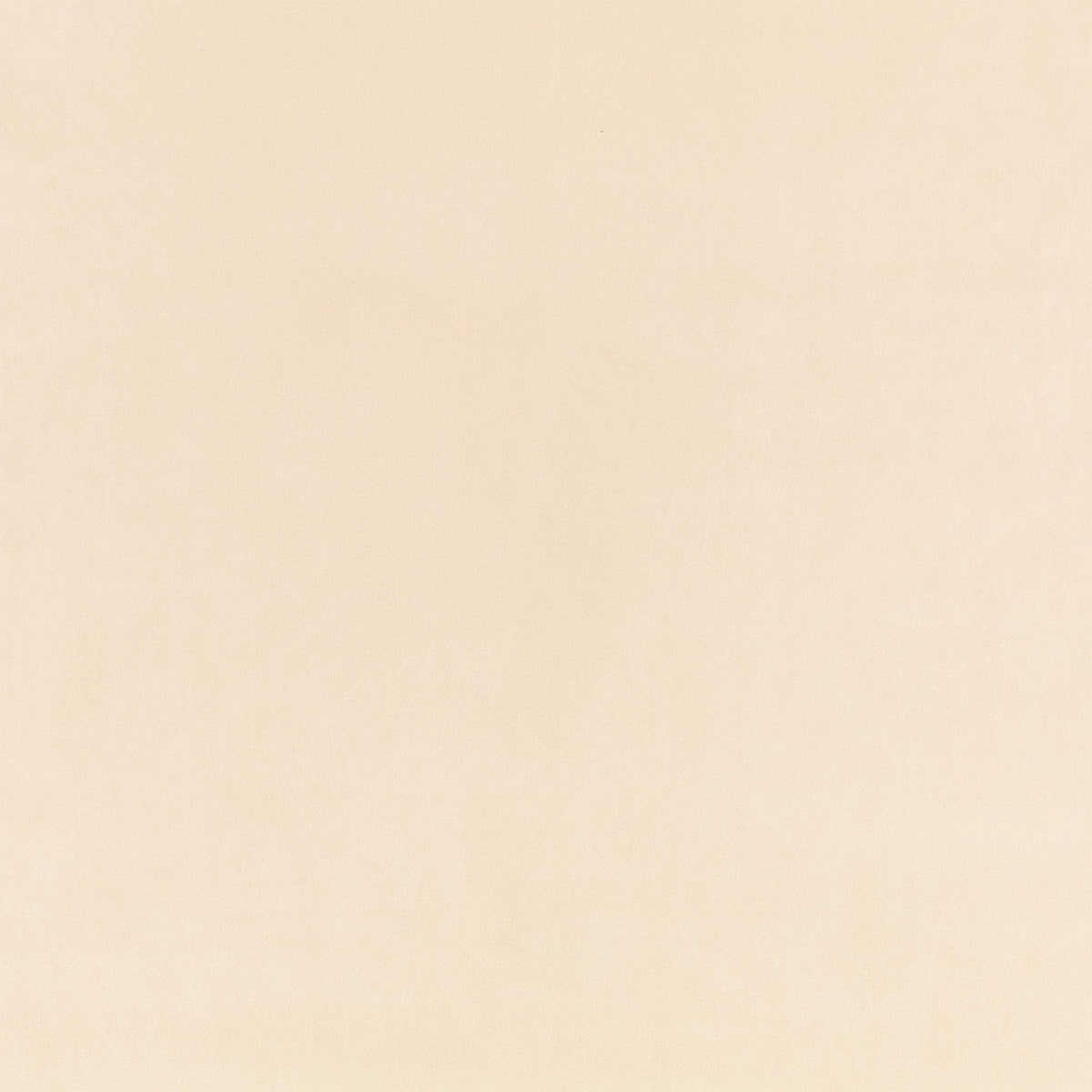 Z Suede Cement Z Suede Fabric by Zinc Textile
