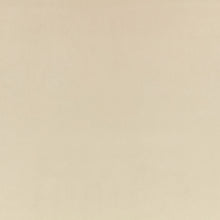 Z Suede Stone Z Suede Fabric by Zinc Textile