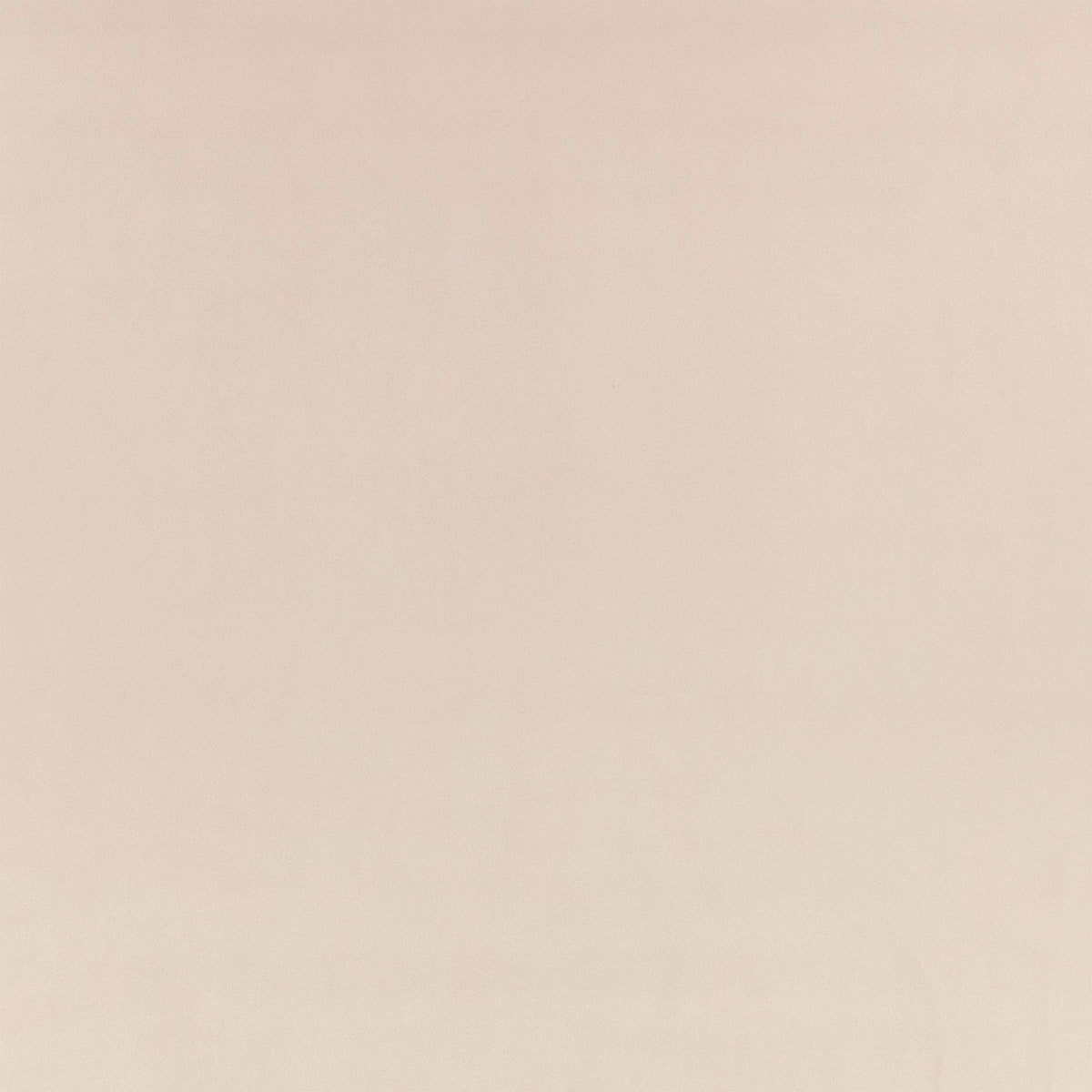 Z Suede Seal Z Suede Fabric by Zinc Textile