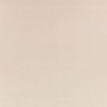 Z Suede Seal Z Suede Fabric by Zinc Textile