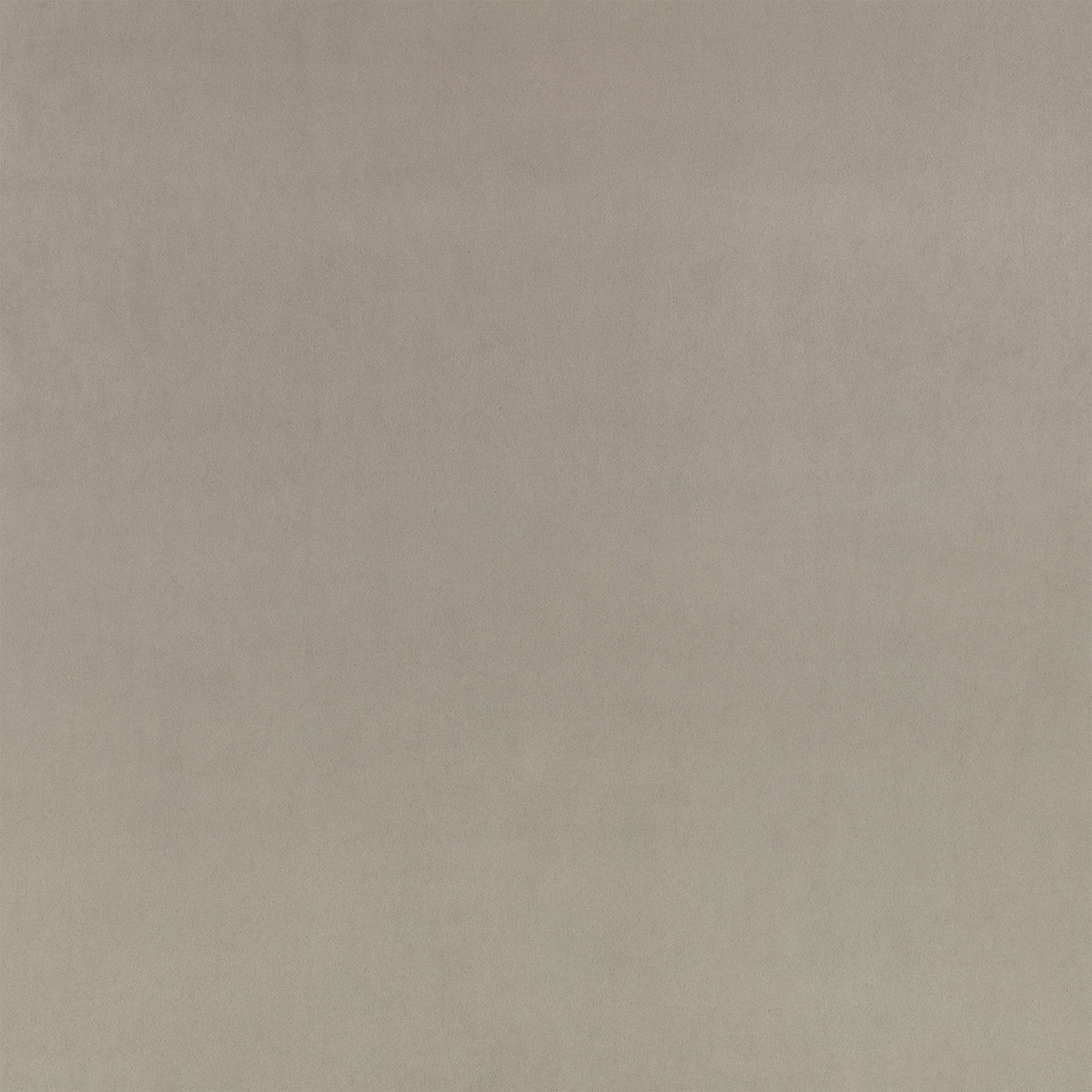 Z Suede Tungsten Z Suede Fabric by Zinc Textile