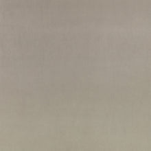 Z Suede Tungsten Z Suede Fabric by Zinc Textile