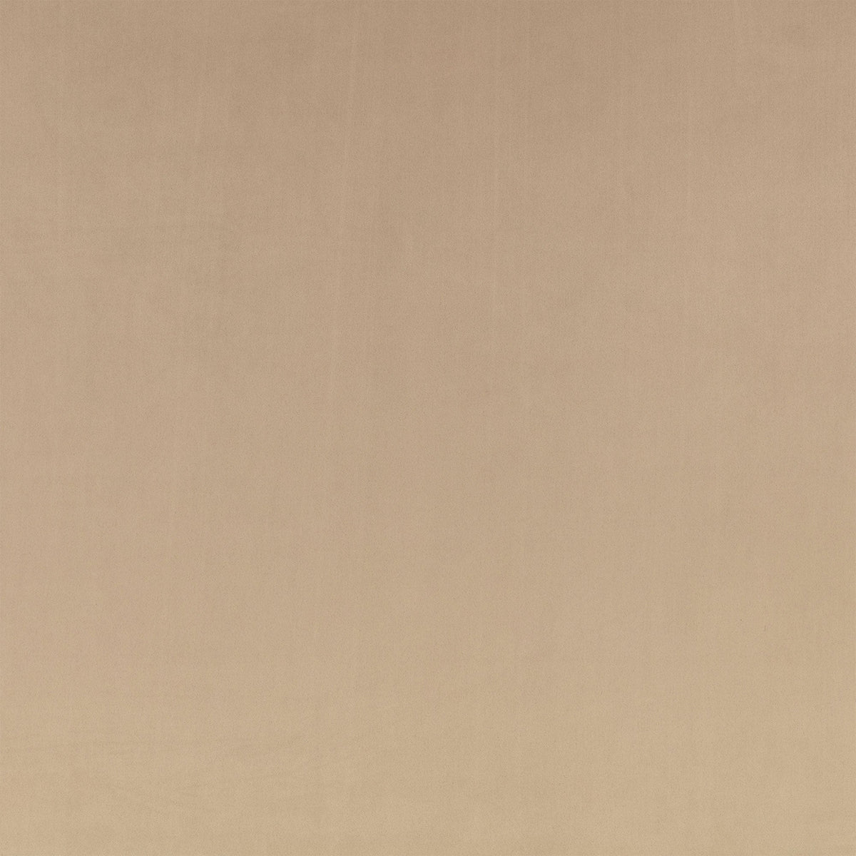 Z Suede Driftwood Z Suede Fabric by Zinc Textile